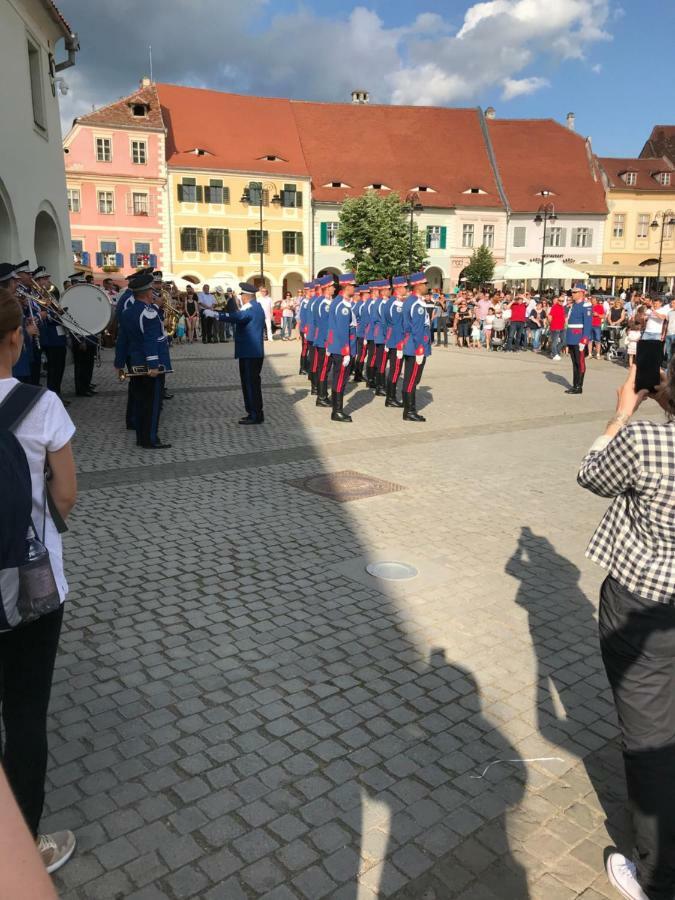 Villa Bonita en Plopilor Sibiu Esterno foto